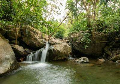 Forest Camping in Rishikesh