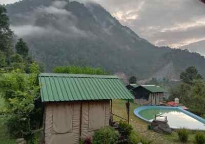 Forest Camping in Rishikesh