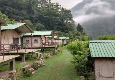 Forest Camping in Rishikesh