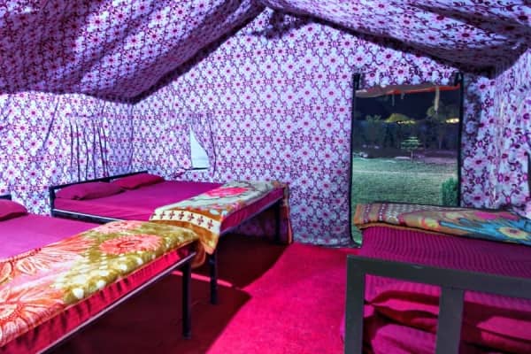 Swiss Camps in Rishikesh