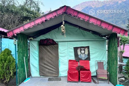 Budget Camp in Rishikesh