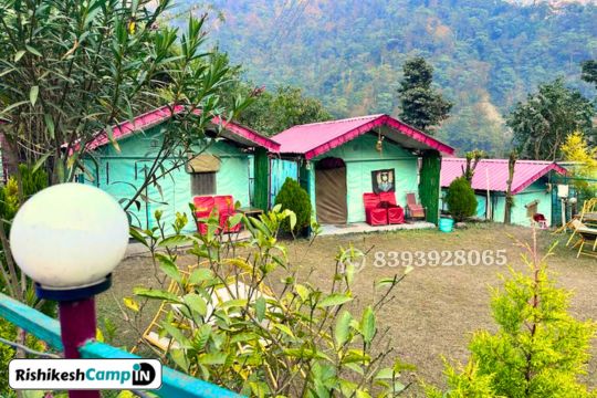 Budget Camp in Rishikesh