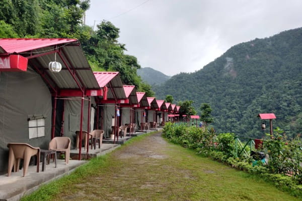 Jungle Camp in Rishikesh