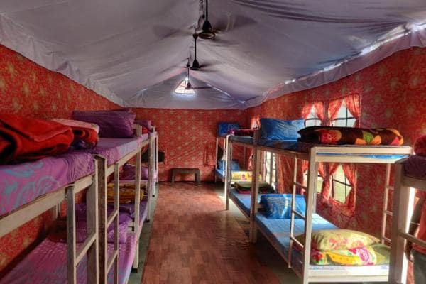 Jungle Camp in Rishikesh